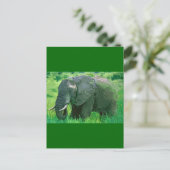Elephant Briefkaart (Staand voorkant)