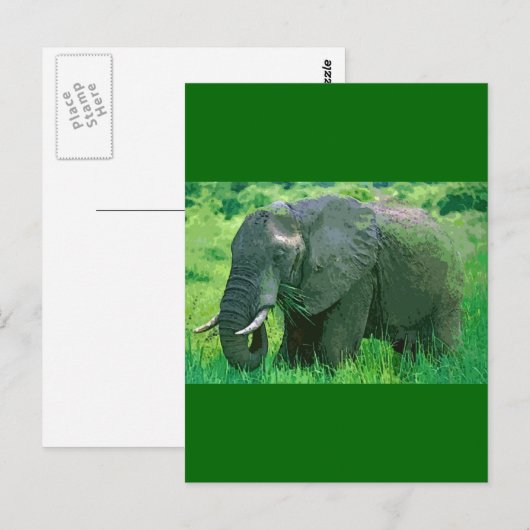 Elephant Briefkaart (Voorkant / Achterkant)
