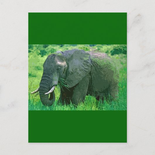 Elephant Briefkaart (Voorkant)