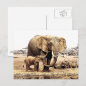 Elephant Briefkaart (Voorkant / Achterkant)