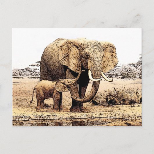 Elephant Briefkaart (Voorkant)