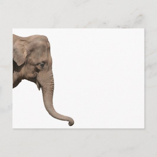 Elephant Briefkaart (Voorkant)