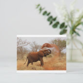 Elephant Briefkaart (Staand voorkant)