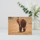 Elephant Briefkaart (Staand voorkant)
