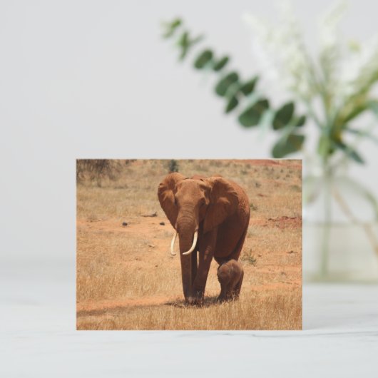Elephant Briefkaart (Staand voorkant)