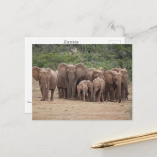 Elephant Briefkaart