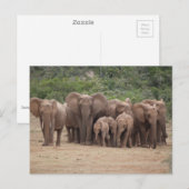 Elephant Briefkaart (Voorkant / Achterkant)