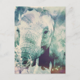 Elephant Briefkaart