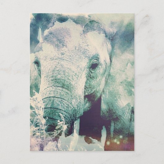 Elephant Briefkaart (Voorkant)