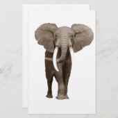 Elephant Briefpapier (Voorkant / Achterkant)