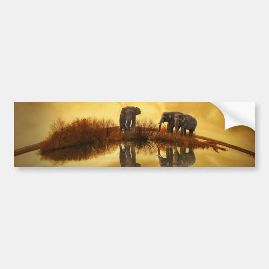 Elephant Bumpersticker (Voorkant)