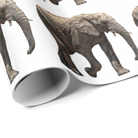 ELEPHANT CADEAUPAPIER (Rol Hoek)
