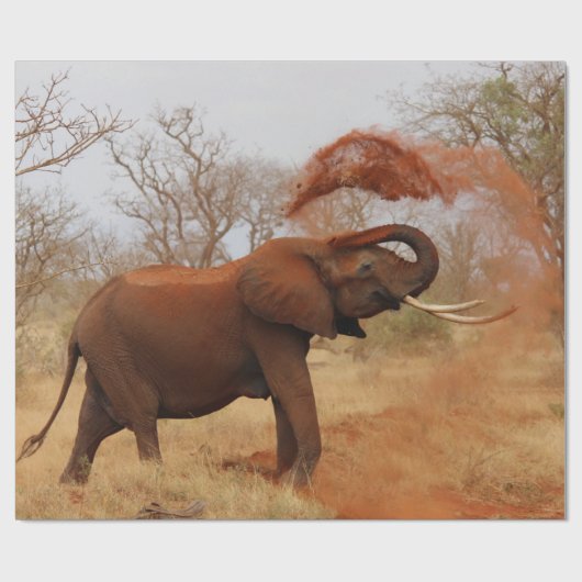 Elephant Cadeaupapier (Vlak)