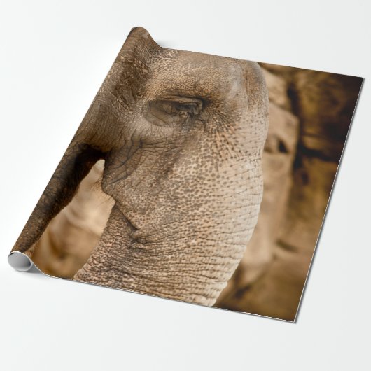 ELEPHANT CADEAUPAPIER (Uitgerold)