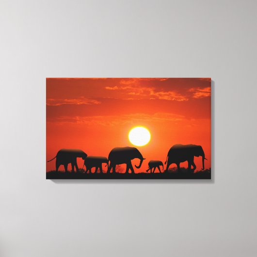 Elephant Canvas Afdruk (Voorkant)