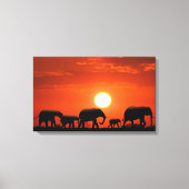 Elephant Canvas Afdruk (Voorkant)