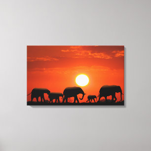 Elephant Canvas Afdruk