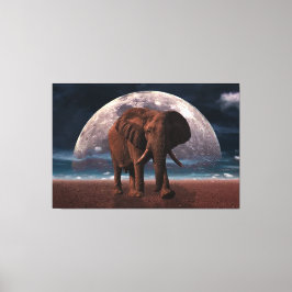 Elephant Canvas Afdruk