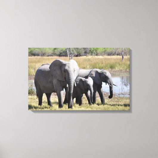 Elephant Canvas Afdruk (Voorkant)