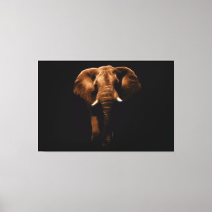 Elephant Canvas Afdruk