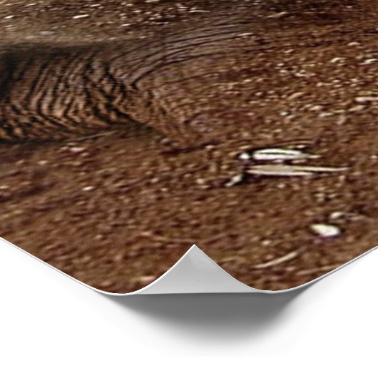 Elephant Caves Canvas Poster (Hoek)