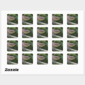 Elephant chameleon, Madagaskar Vierkante Sticker (Vel)