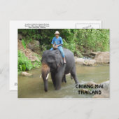 Elephant Chiang Mai Briefkaart (Voorkant / Achterkant)