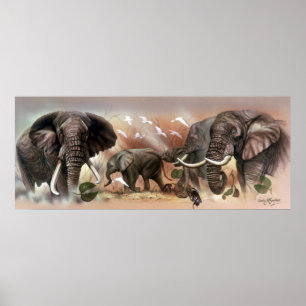 Elephant Collectie Poster