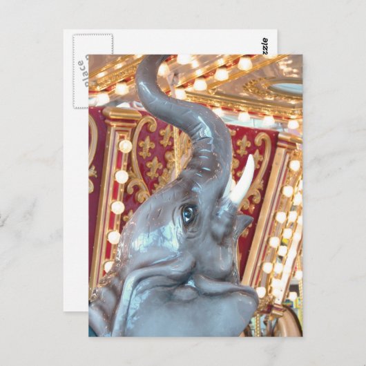 Elephant Coral Ridge Mall, IA Briefkaart (Voorkant / Achterkant)
