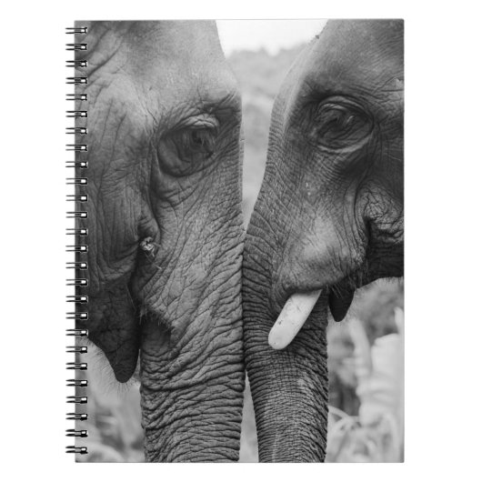 ELEPHANT COUPLE NOTITIEBOEK (Voorkant)