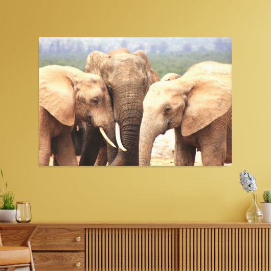 Elephant cuddle Canvas omgeven (Insitu (Woonkamer))