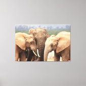 Elephant cuddle Canvas omgeven (Voorkant)