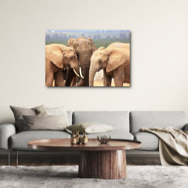 Elephant cuddle Canvas omgeven