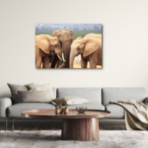 Elephant cuddle Canvas omgeven