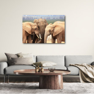 Elephant cuddle Canvas omgeven Afdruk