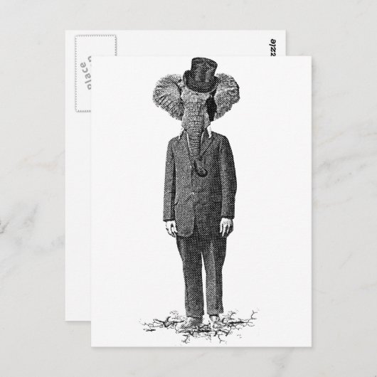 Elephant dandy briefkaart (Voorkant / Achterkant)