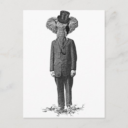Elephant dandy briefkaart (Voorkant)