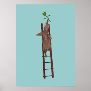 Elephant die een ladder beklimt poster
