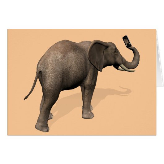 Elephant die een Selfie inneemt (Voorkant Horizontaal)