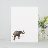 Elephant die een Selfie inneemt (Staand voorkant)