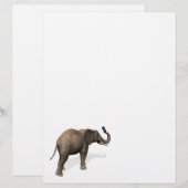 Elephant die een Selfie inneemt (Voorkant / Achterkant)