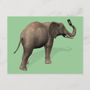 Elephant die een Selfie inneemt Briefkaart