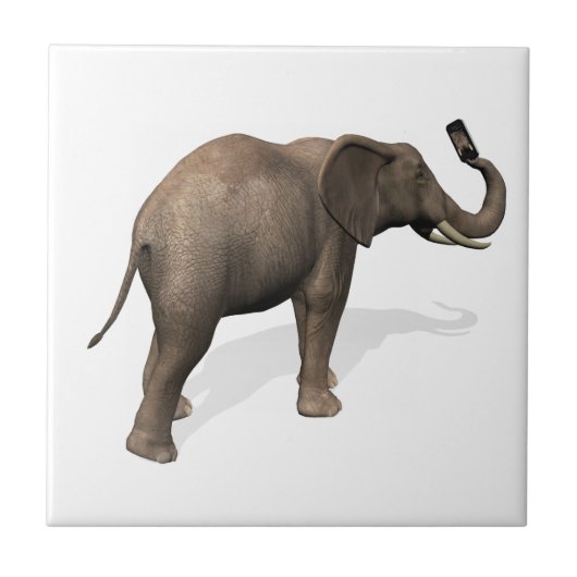 Elephant die een Selfie inneemt Tegeltje (Voorkant)