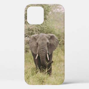 ELEPHANT DIE EEN TOURAUTO BEKIJKT Case-Mate iPhone CASE