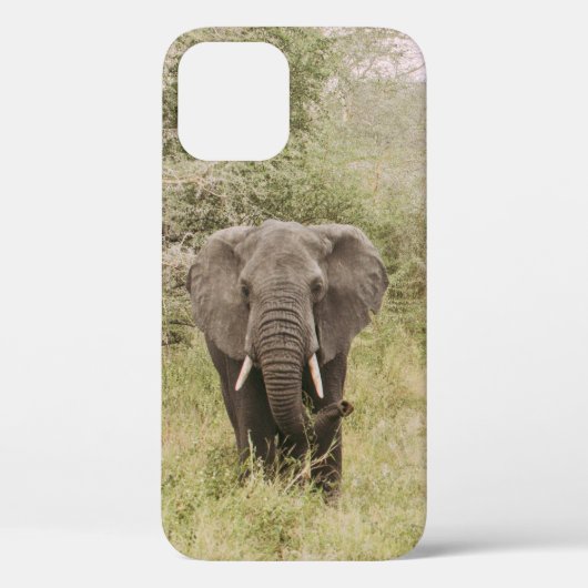 ELEPHANT DIE EEN TOURAUTO BEKIJKT Case-Mate iPhone CASE (Achterkant)