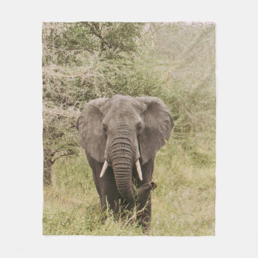 ELEPHANT DIE EEN TOURAUTO BEKIJKT FLEECE DEKEN (Voorkant)