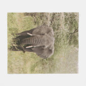 ELEPHANT DIE EEN TOURAUTO BEKIJKT FLEECE DEKEN (Voorkant (Horizontaal))