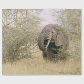 ELEPHANT DIE VAN EEN BOOM AFWEET CADEAUPAPIER (Vlak)