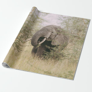 ELEPHANT DIE VAN EEN BOOM AFWEET CADEAUPAPIER
