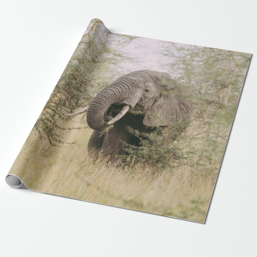ELEPHANT DIE VAN EEN BOOM AFWEET CADEAUPAPIER (Uitgerold)